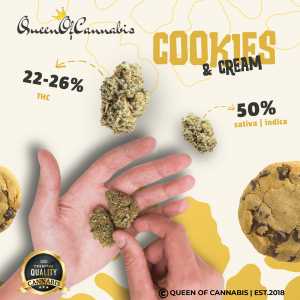 MGMGRand goods COOKIES AND CREAM - CALI GE...